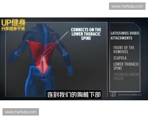 高效肌肉恢复的关键策略与科学方法解析 高效肌肉恢复的关键策略与科学方法解析
