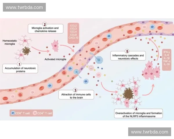 守门反应在免疫防御中的机制与应用探索